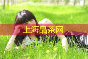 <strong>上海新茶资源</strong>：亲身体验乡村生活的乐趣
