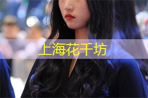 上海新茶工作室：用品质生活，体验上海新茶工作室带来的无限惊喜！
