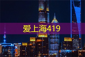 <strong>爱上海419</strong>论坛：又下雪了