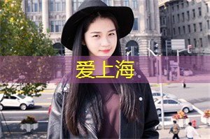爱上海：描写上海繁华的诗句