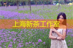 爱上海龙凤419：上海会所：追求极致惬意的生活，畅享尊贵服务的黄金场所大揭秘！
